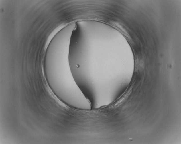 X0000070360812200606301829