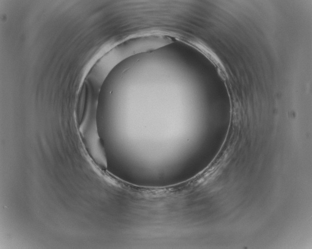 X0000070360813200606301829