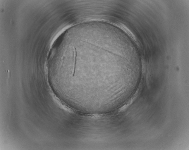 X0000070360814200606301829