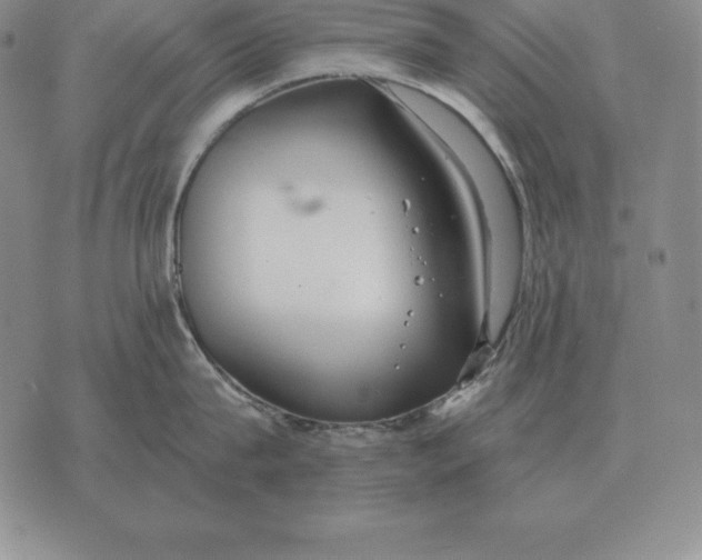 X0000070360815200606301829