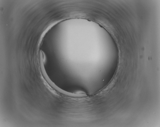 X0000070360816200606301829