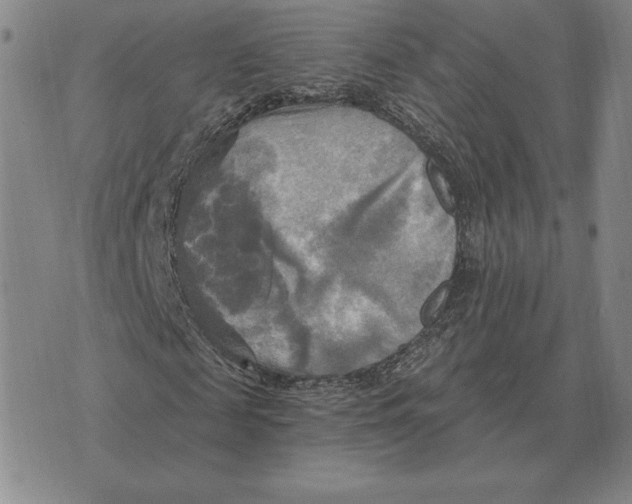 X0000070360817200606301828