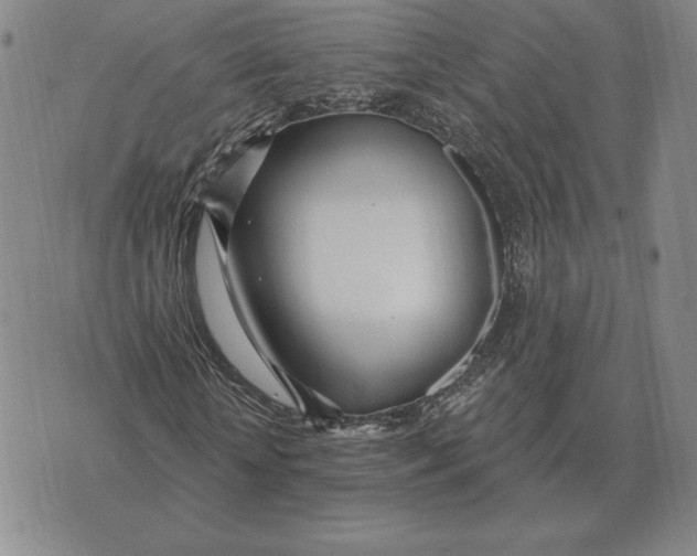 X0000070360818200606301828