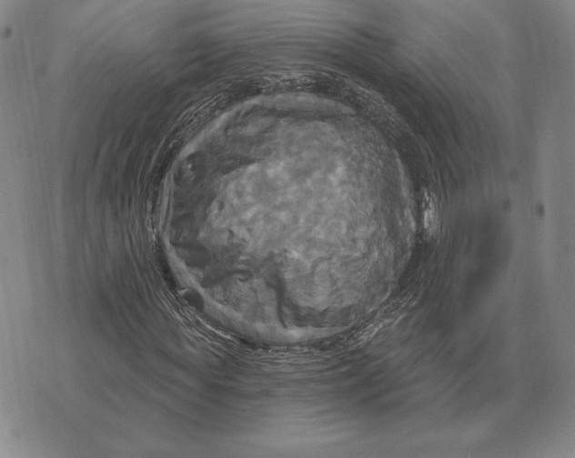 X0000070360819200606301828