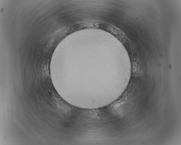 X0000070360820200606301828