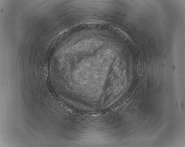 X0000070360821200606301828