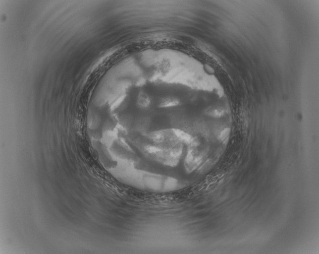 X0000070360823200606301828