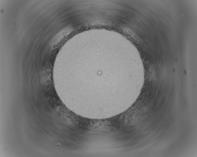 X0000070360824200606301828