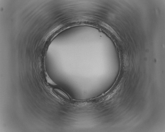 X0000070360826200606301828