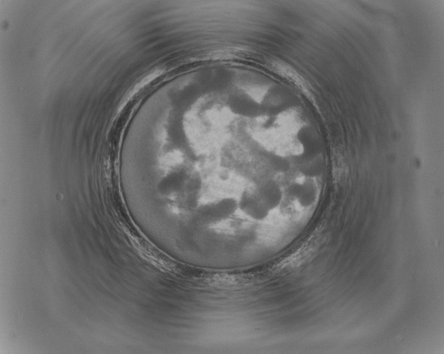 X0000070360827200606301828