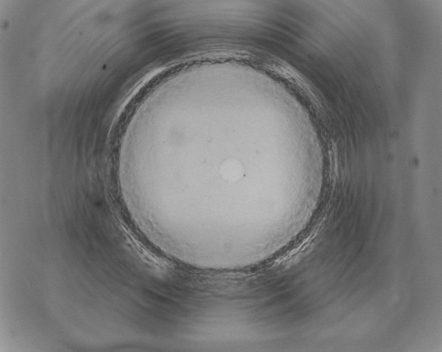 X0000070360828200606301828