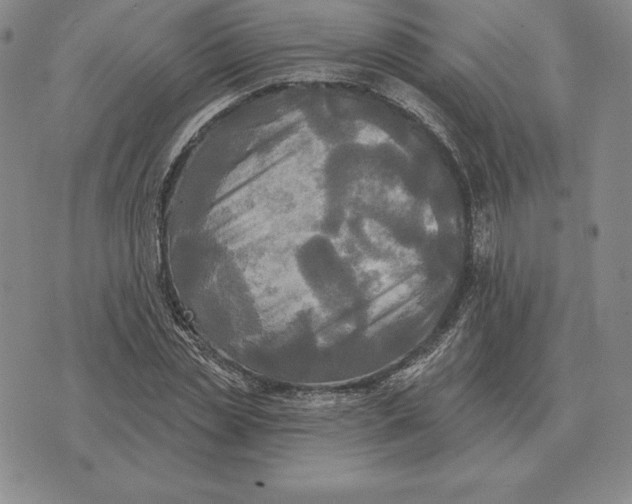 X0000070360829200606301828