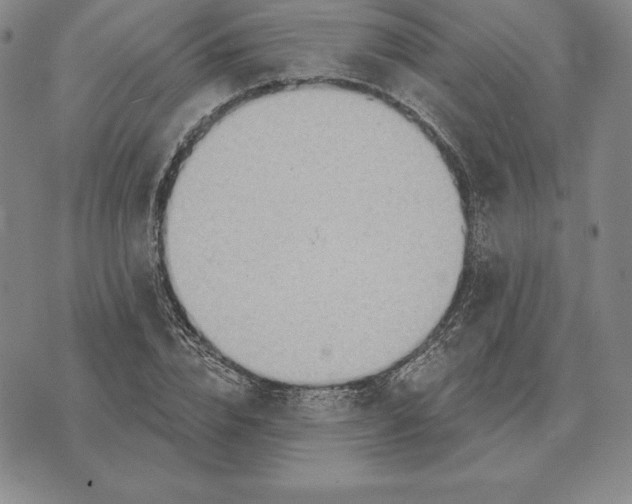 X0000070360832200606301828