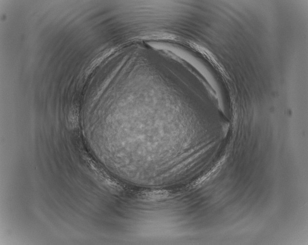 X0000070360833200606301828