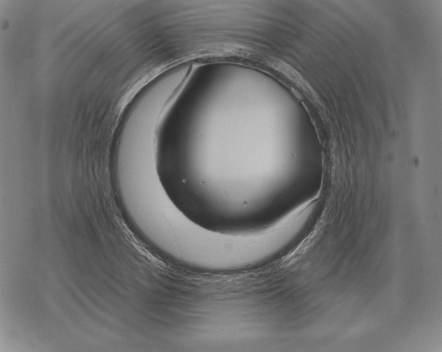 X0000070360834200606301828