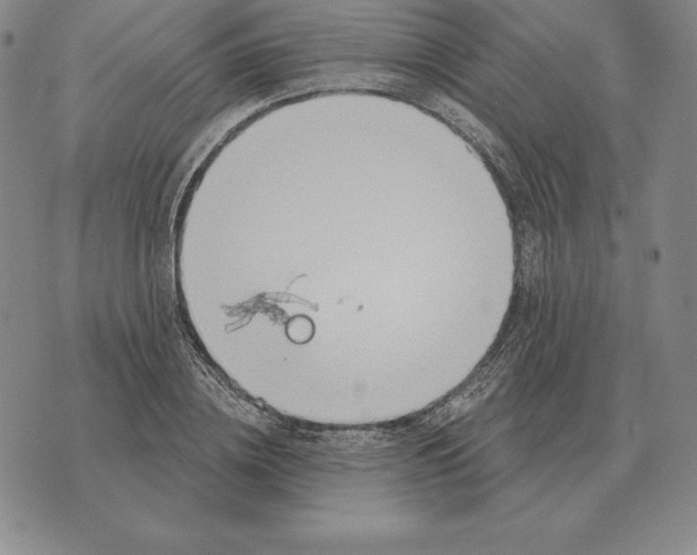 X0000070360836200606301829