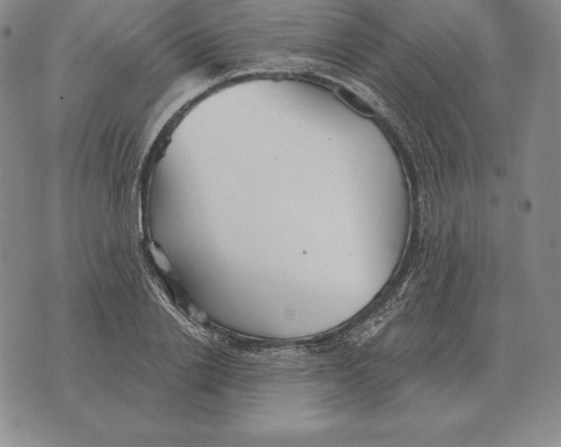 X0000070360838200606301829