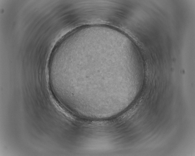 X0000070360840200606301829