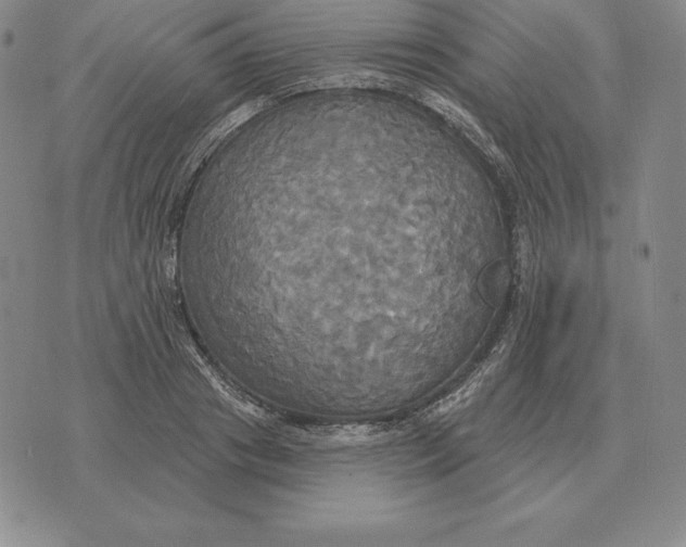 X0000070360841200606301829