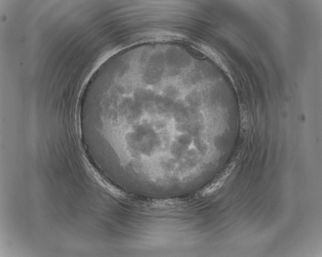 X0000070360843200606301829