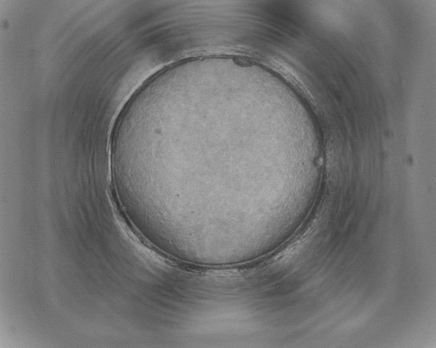 X0000070360844200606301829