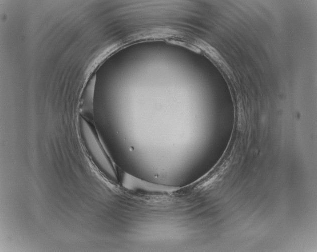 X0000070360850200606301829