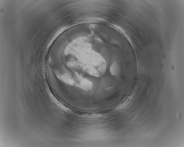 X0000070360851200606301829