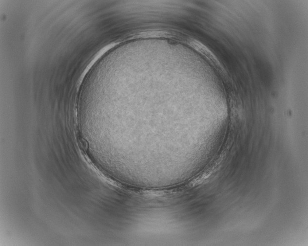 X0000070360852200606301829