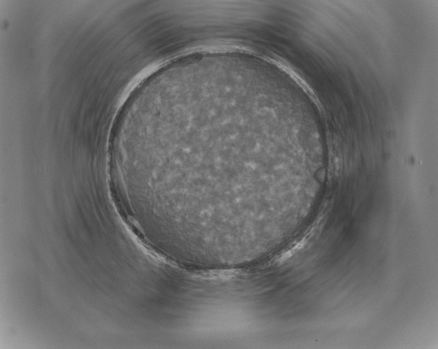 X0000070360853200606301829