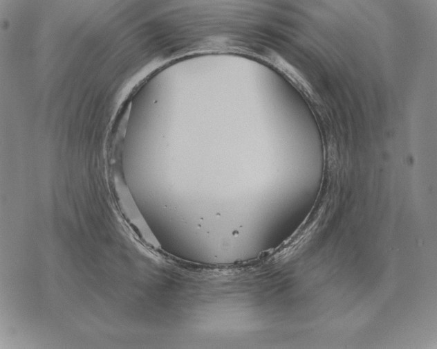 X0000070360854200606301829