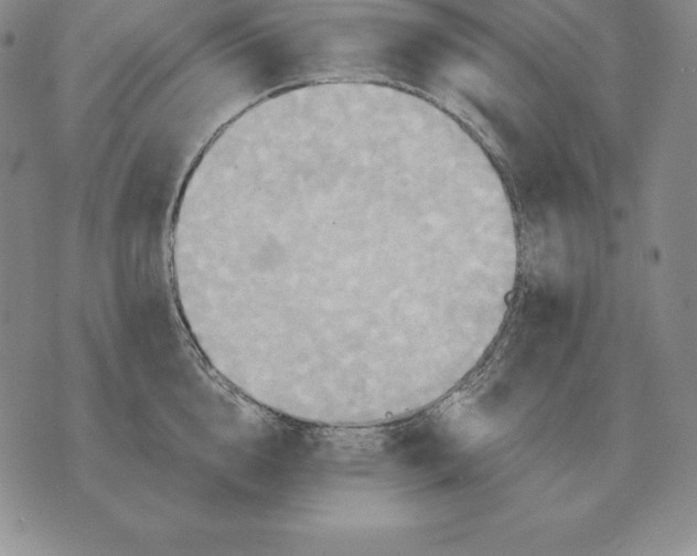 X0000070360856200606301829