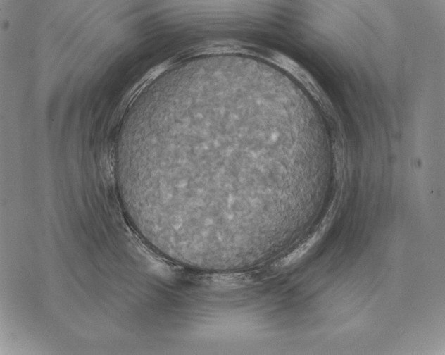 X0000070360857200606301829