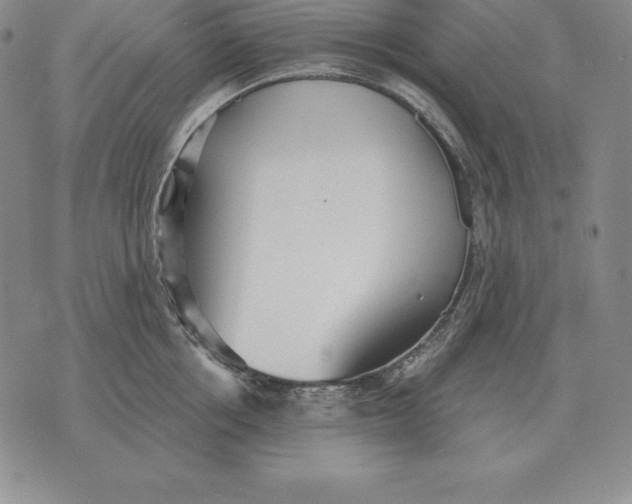 X0000070360858200606301829