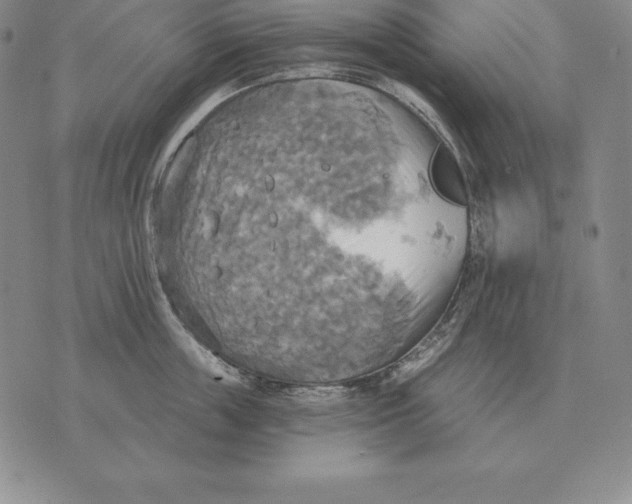 X0000070360859200606301829