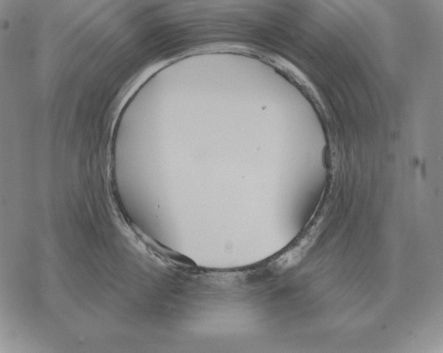 X0000070360860200606301829