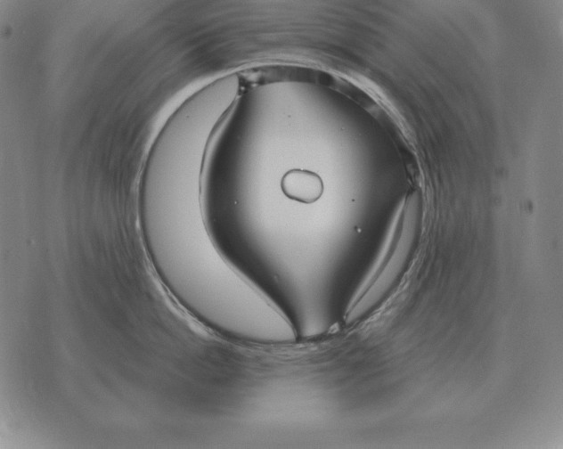 X0000070360862200606301829