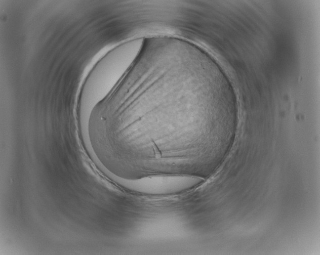 X0000070360864200606301829