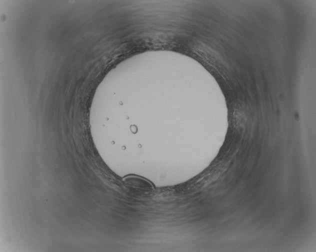 X0000070360865200606301828