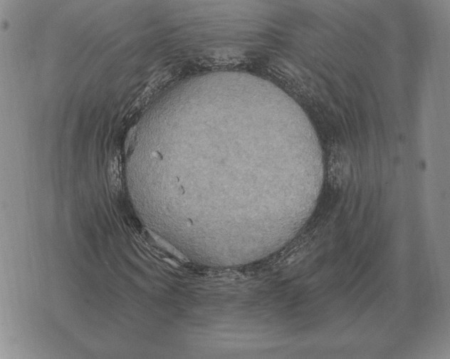 X0000070360866200606301828