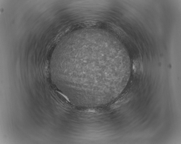 X0000070360867200606301828