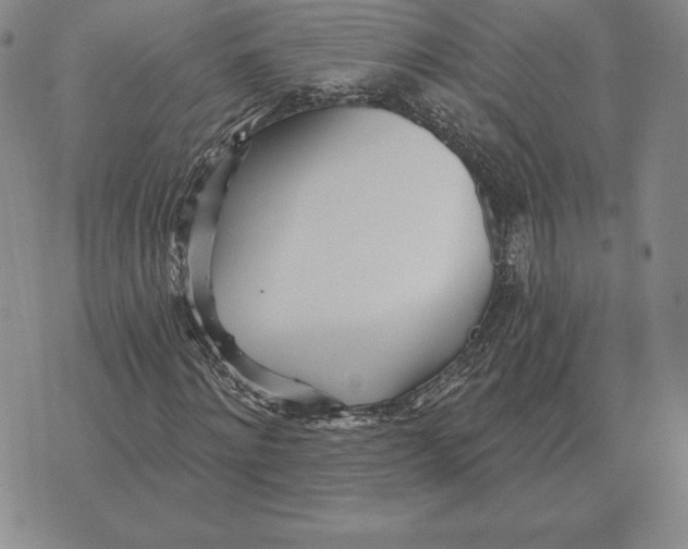 X0000070360868200606301828