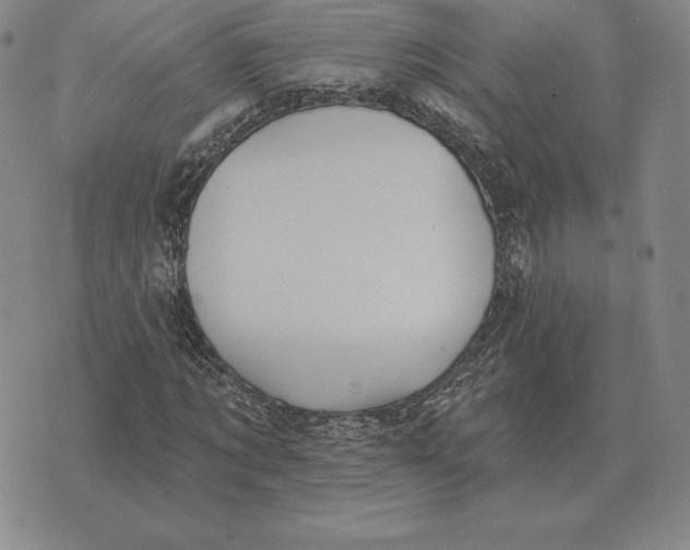 X0000070360869200606301828