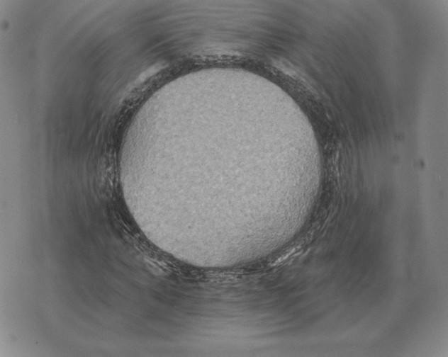 X0000070360870200606301828