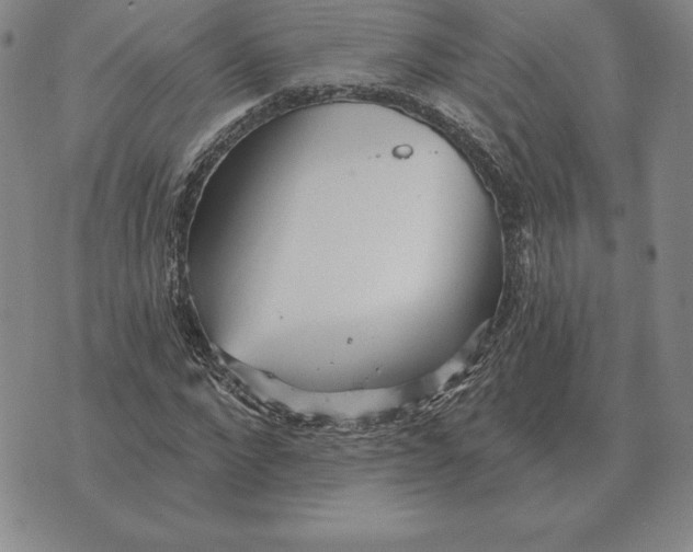 X0000070360872200606301828