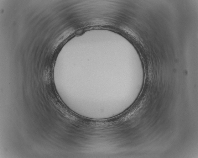 X0000070360873200606301828