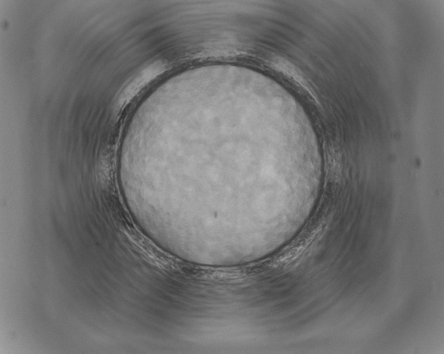 X0000070360874200606301828