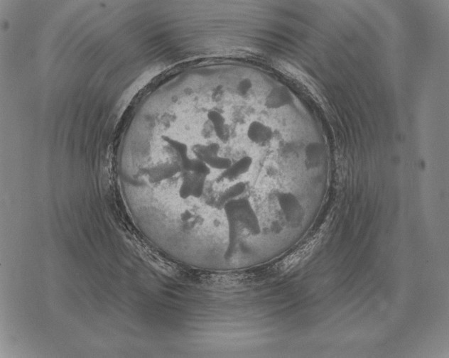 X0000070360875200606301828