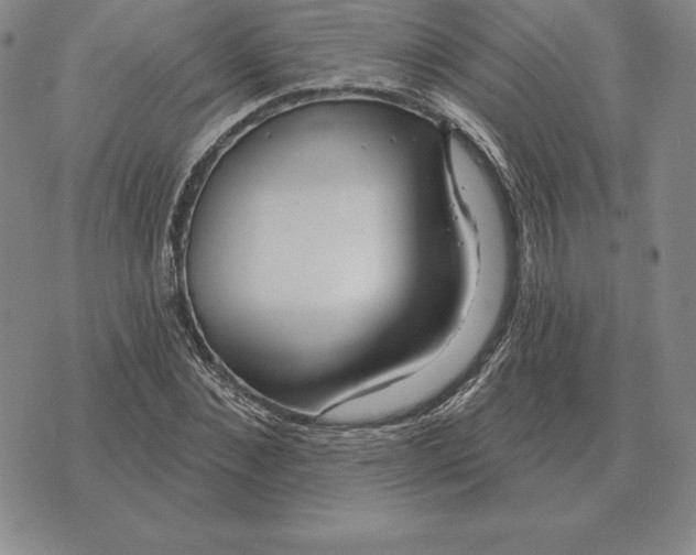 X0000070360876200606301828