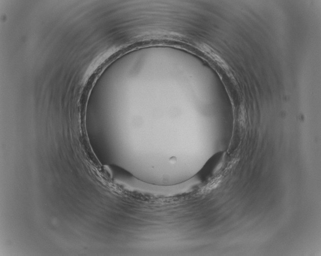 X0000070360877200606301828