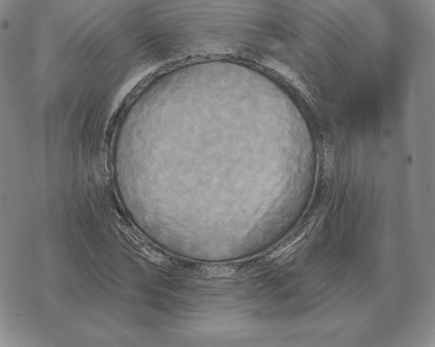 X0000070360878200606301828